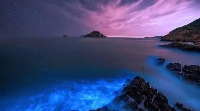 泡脚水里加点“它”,不仅驱寒除湿,防感冒,还能杀菌止痒除脚气